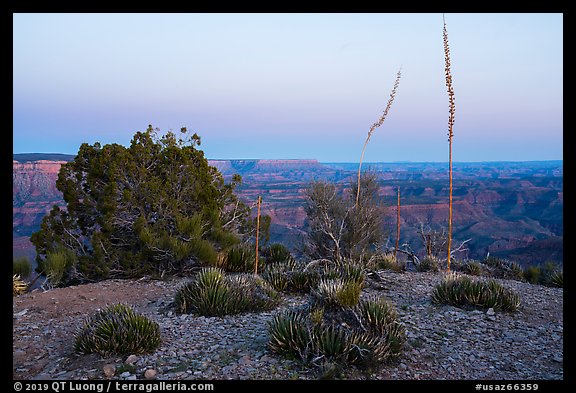 Twin Point at dusk. Grand Canyon-Parashant National Monument, Arizona, USA (color)