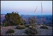 Twin Point at dusk. Grand Canyon-Parashant National Monument, Arizona, USA ( color)