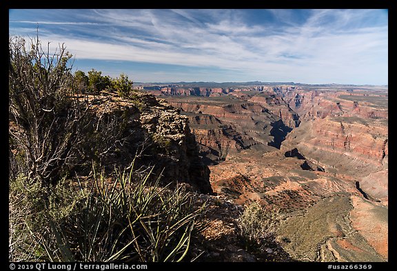 Sanup Plateau and Burnt Canyon from Grand Canyon Rim. Grand Canyon-Parashant National Monument, Arizona, USA (color)