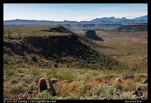 Mojave Desert landscape. Grand Canyon-Parashant National Monument, Arizona, USA (color)