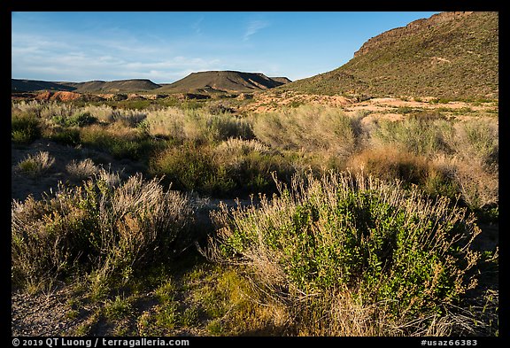 Desert near Pakoon Springs. Grand Canyon-Parashant National Monument, Arizona, USA (color)