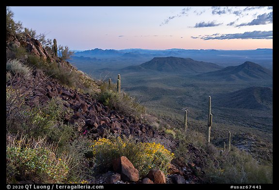 Lava field and desert vegetation on slopes of Table Top Mountain at twilight. Sonoran Desert National Monument, Arizona, USA (color)