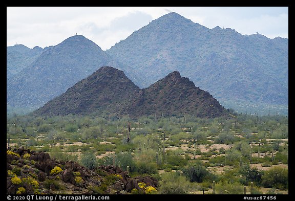 North Maricopa Mountains. Sonoran Desert National Monument, Arizona, USA (color)