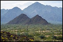 North Maricopa Mountains. Sonoran Desert National Monument, Arizona, USA ( color)