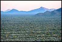 Vekol Valley and Vekol Mountains at sunset. Sonoran Desert National Monument, Arizona, USA ( color)