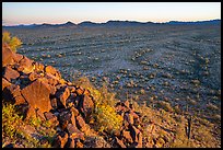 Vekol Valley from Lost Horse Peak at sunset. Sonoran Desert National Monument, Arizona, USA ( color)