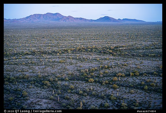 Vekol Valley and Table Top Mountain at dusk. Sonoran Desert National Monument, Arizona, USA (color)