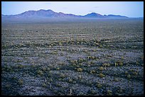 Vekol Valley and Table Top Mountain at dusk. Sonoran Desert National Monument, Arizona, USA ( color)