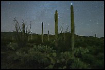 Cactus and Javelina Mountains at night. Sonoran Desert National Monument, Arizona, USA ( color)
