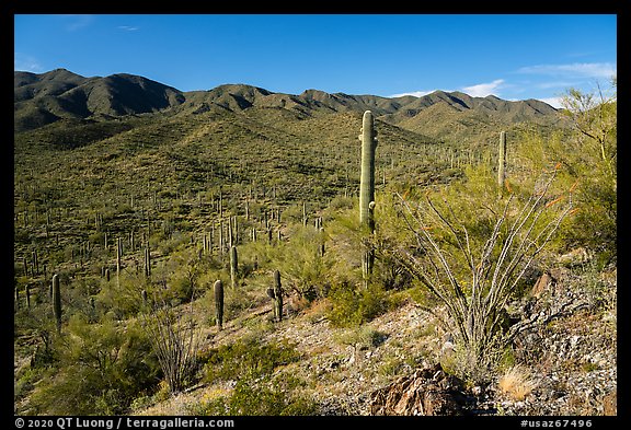 Sand Tank Mountains. Sonoran Desert National Monument, Arizona, USA (color)