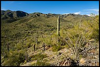 Sand Tank Mountains. Sonoran Desert National Monument, Arizona, USA ( color)