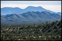 Table Top Mountains. Sonoran Desert National Monument, Arizona, USA ( color)