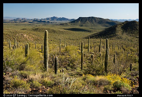 Vekol Mountains from Table Top Mountain. Sonoran Desert National Monument, Arizona, USA (color)