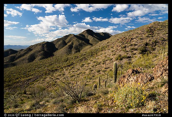 Black Mountain from Table Top Mountain. Sonoran Desert National Monument, Arizona, USA (color)