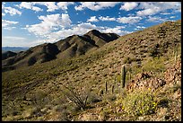 Black Mountain from Table Top Mountain. Sonoran Desert National Monument, Arizona, USA ( color)