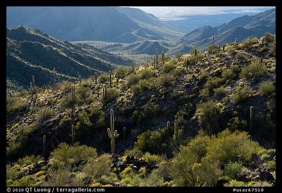 Ridge, Table Top Mountain Wilderness. Sonoran Desert National Monument, Arizona, USA (color)