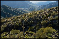 Ridge, Table Top Mountain Wilderness. Sonoran Desert National Monument, Arizona, USA ( color)