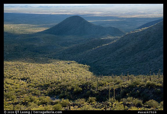 Table Mountain slopes and Vekol Valley. Sonoran Desert National Monument, Arizona, USA (color)