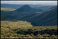 Table Mountain slopes and Vekol Valley. Sonoran Desert National Monument, Arizona, USA ( color)