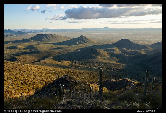 Cactus high on Table Mountain and distant Vekol Valley. Sonoran Desert National Monument, Arizona, USA (color)