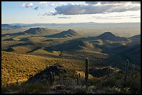 Cactus high on Table Mountain and distant Vekol Valley. Sonoran Desert National Monument, Arizona, USA ( color)