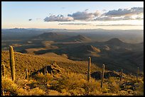 Table Mountain slopes and distant Vekol Valley, late afternoon. Sonoran Desert National Monument, Arizona, USA ( color)
