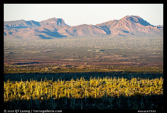 Sand Tank Mountains at sunrise above Vekol Valley. Sonoran Desert National Monument, Arizona, USA (color)