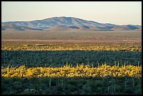Shadows over Vekol Valley and Sand Tank Mountains. Sonoran Desert National Monument, Arizona, USA ( color)