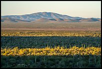 Shadows over Vekol Valley and Sand Tank Mountains. Sonoran Desert National Monument, Arizona, USA ( color)