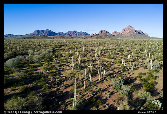 Aerial view of bajada with Silver Bell Mountains, Wolcott Peak, and Ragged Top in distance. Ironwood Forest National Monument, Arizona, USA (color)