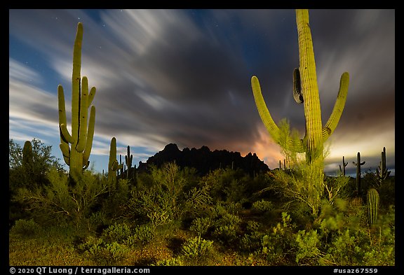 Cactus and Ragged top with moving clouds at night. Ironwood Forest National Monument, Arizona, USA (color)