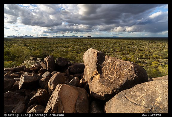 Cocoraque Butte Archeological District. Ironwood Forest National Monument, Arizona, USA (color)