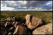 Cocoraque Butte Archeological District. Ironwood Forest National Monument, Arizona, USA ( color)