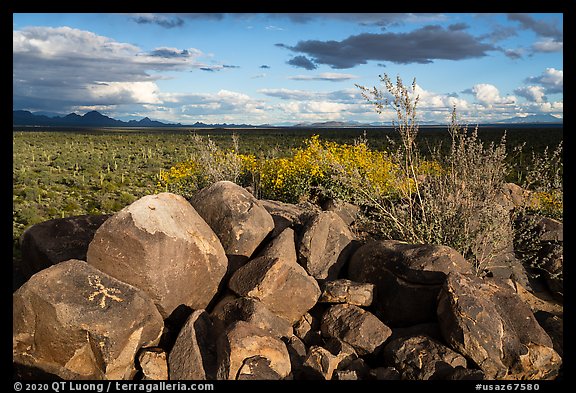 Boulders with petroglyphs, brittlebush, and Avra Valley. Ironwood Forest National Monument, Arizona, USA (color)