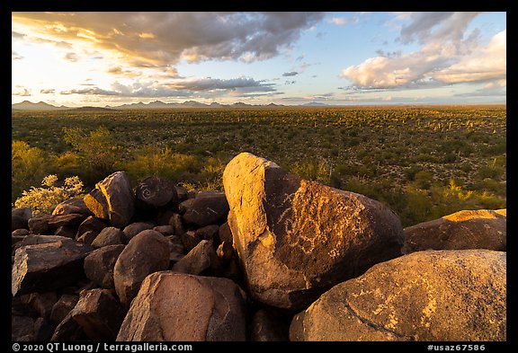 Hohokam petroglyphs on Cocoraque Butte boulders at sunset. Ironwood Forest National Monument, Arizona, USA (color)