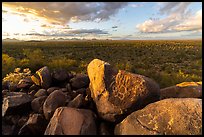 Hohokam petroglyphs on Cocoraque Butte boulders at sunset. Ironwood Forest National Monument, Arizona, USA ( color)
