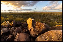 Hohokam petroglyphs on Cocoraque Butte boulders at sunset. Ironwood Forest National Monument, Arizona, USA ( color)