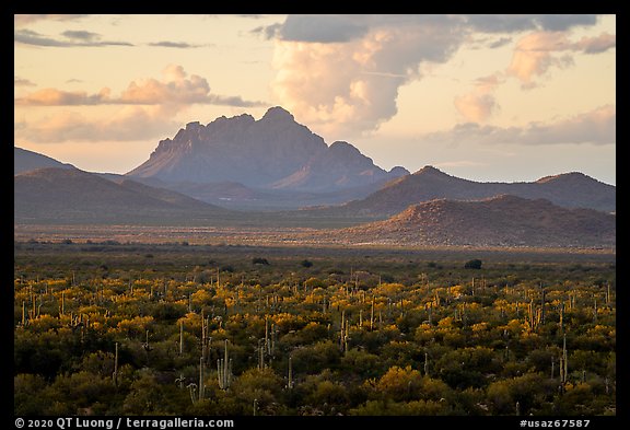Desert plains with Ragged Top in the distance at sunset. Ironwood Forest National Monument, Arizona, USA (color)