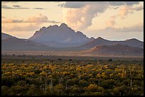 Desert plains with Ragged Top in the distance at sunset. Ironwood Forest National Monument, Arizona, USA ( color)