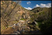 Wash, Badger Springs Canyon. Agua Fria National Monument, Arizona, USA ( color)