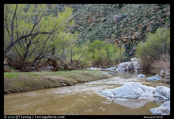 Early spring along Agua Fria River. Agua Fria National Monument, Arizona, USA (color)