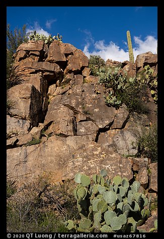 Rock art site, Badger Springs Canyon. Agua Fria National Monument, Arizona, USA (color)