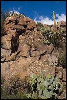 Rock art site, Badger Springs Canyon. Agua Fria National Monument, Arizona, USA ( color)