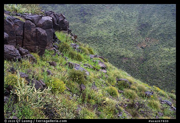 Basalt rocks, Agua Fria Canyon slopes. Agua Fria National Monument, Arizona, USA (color)