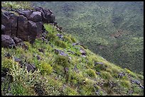 Basalt rocks, Agua Fria Canyon slopes. Agua Fria National Monument, Arizona, USA ( color)