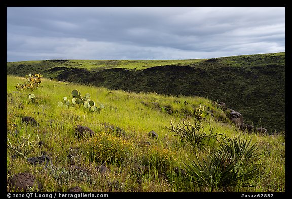 Grassy flats and canyon. Agua Fria National Monument, Arizona, USA (color)