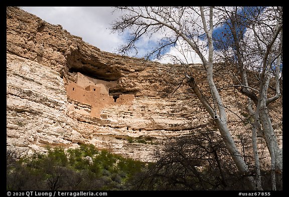 Limestone cliff with Sinagua dwelling, Montezuma Castle National Monument. Arizona, USA (color)
