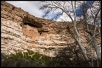 Limestone cliff with Sinagua dwelling, Montezuma Castle National Monument. Arizona, USA ( color)