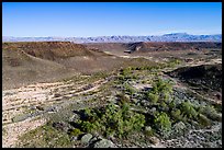 Aerial view of Pakoon Springs. Grand Canyon-Parashant National Monument, Arizona, USA ( color)