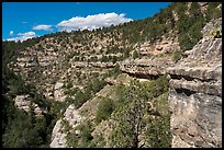Kaibab Limestone cliffs, Walnut Canyon National Monument. Arizona, USA ( color)
